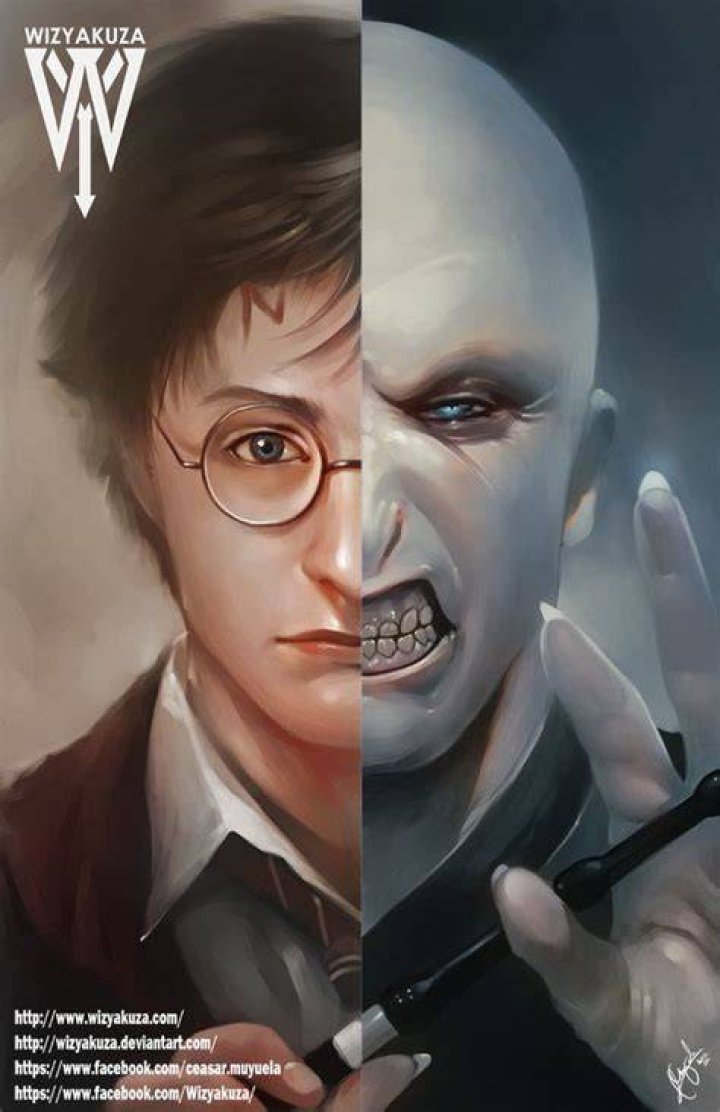 Split image of Harry Potter showing off his scar and Voldemort sending Nagini to kill