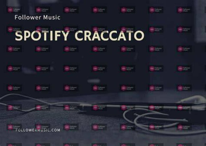 Spotify Craccato APK 8.7.8.1206 for Android Free Download 3 Spotify Craccato Apk