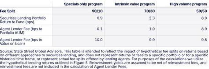 STATE STREET INTERNATIONAL INDEX SECURITIES LENDING SERIES FUND - CLASS IX