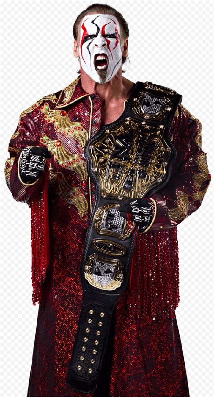 Sting TNA