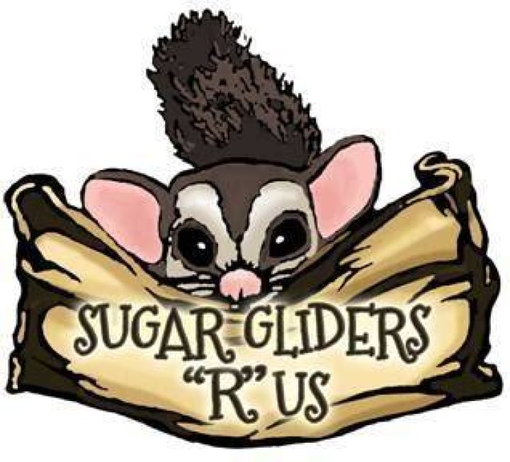 Sugar Gliders R Us logo
