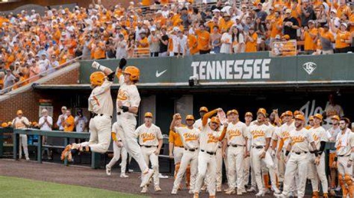 Tennessee Volunteers baseball memes