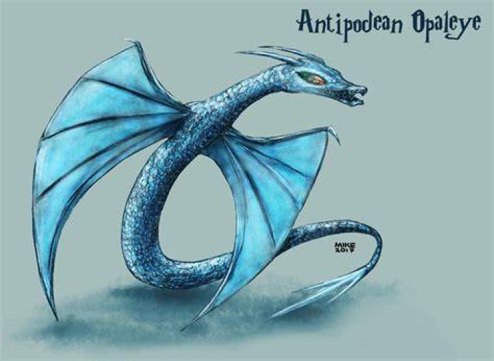 The Antipodean Opaleye Dragon in a Harry Potter illustration
