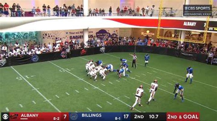 The arena football net worth