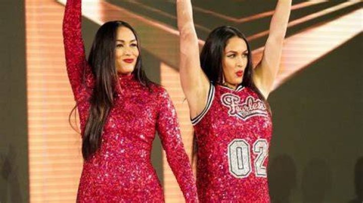 the bella twins