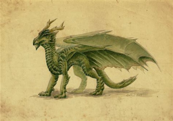 The Common Welsh Green in a Harry Potter illustration