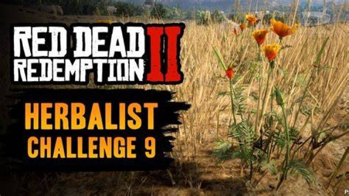 the Herbalist Challenge in Red Dead Redemption 2 has 10 Ranks