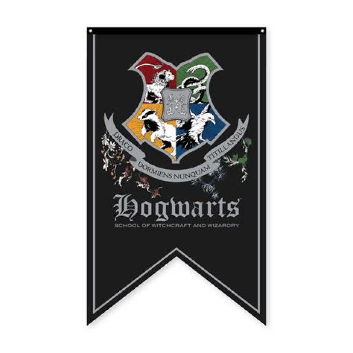The Hogwarts banner for Max.