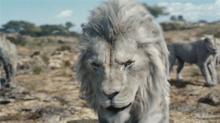 The Lion King Full Movierulz A Classic Tale Reimagined for Modern