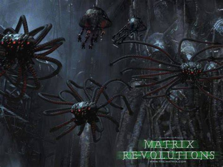 The Matrix Sentinels