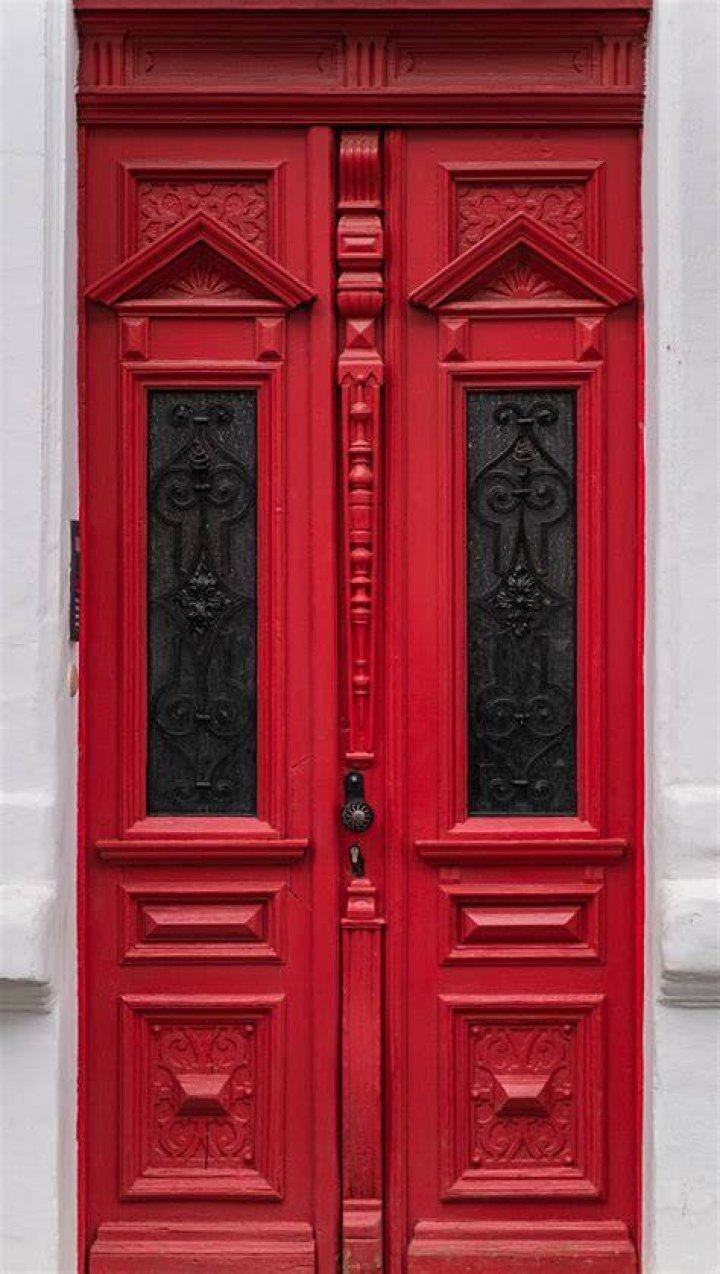 The Red Door from the Insidious franchise