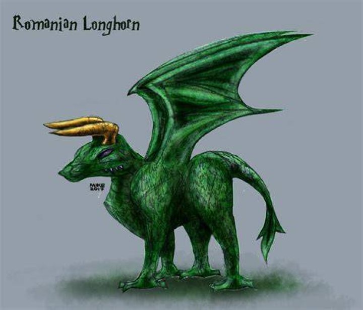 The Romanian Longhorn dragon illustration for Harry Potter