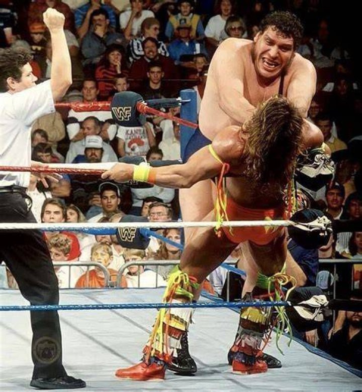 The Ultimate warrior vs Andre The Giant