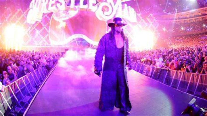 The Undertaker making his WrestleMania 20 entrance