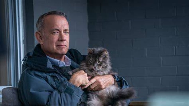 Tom Hanks with a cat on the poster for A Man Called Otto
