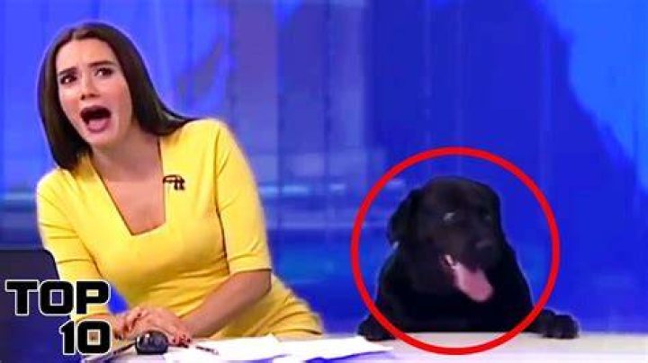Top 10 News Reporting Fails