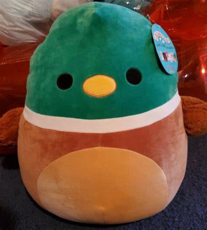 Top 10 Rare Squishmallows In the World Dicy Trends (2023)