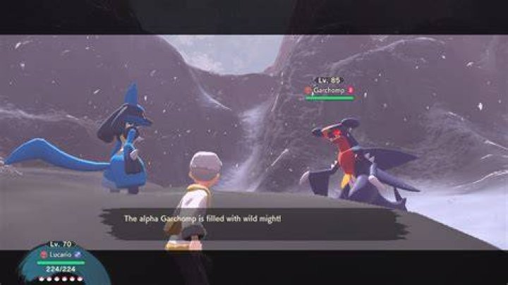 Trainers can catch Alpha Garchomp in the Alabaster Icelands of Pokemon Legends: Arceus.