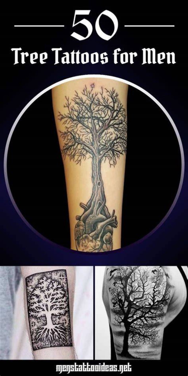 Tree Tattoos for Men Tree tattoo men, Tree tattoo designs, Mens