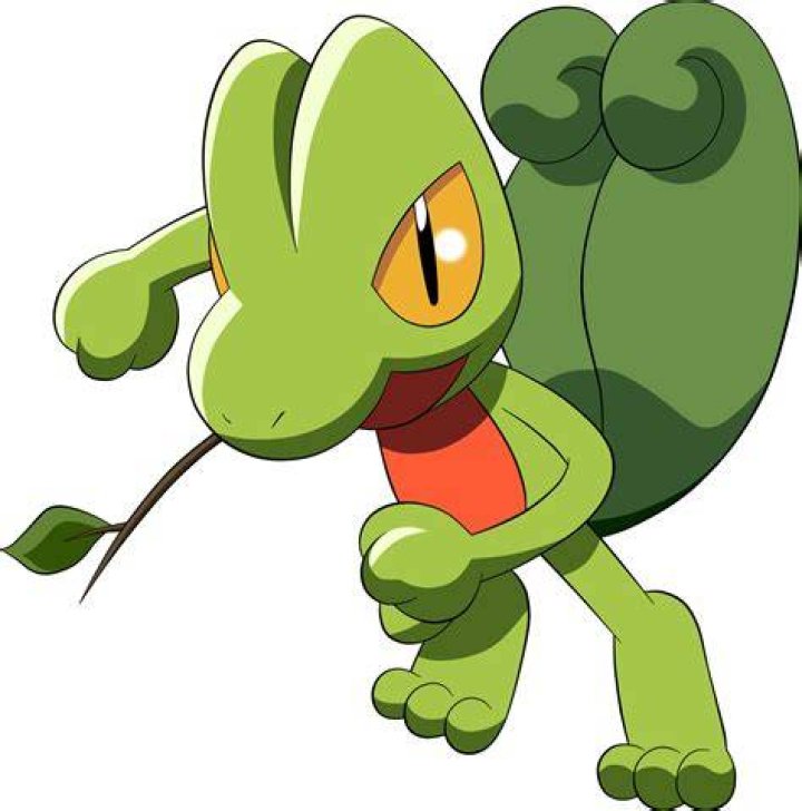 Treecko Pokemon