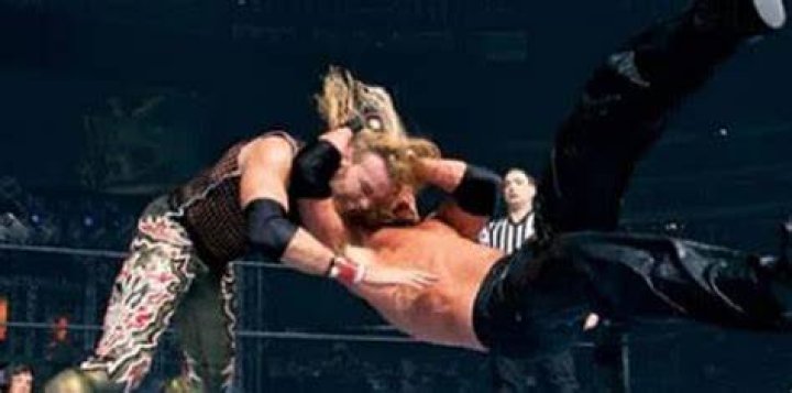 Triple H And The Diamond Cutter Cropped