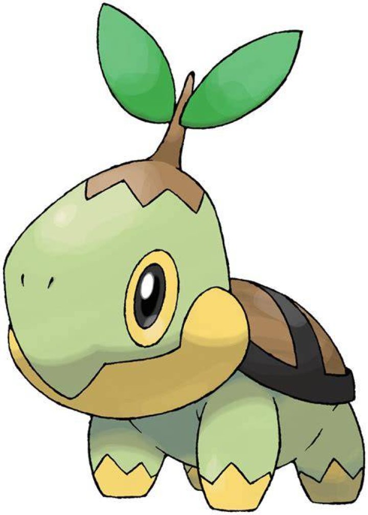 Turtwig in Pokemon