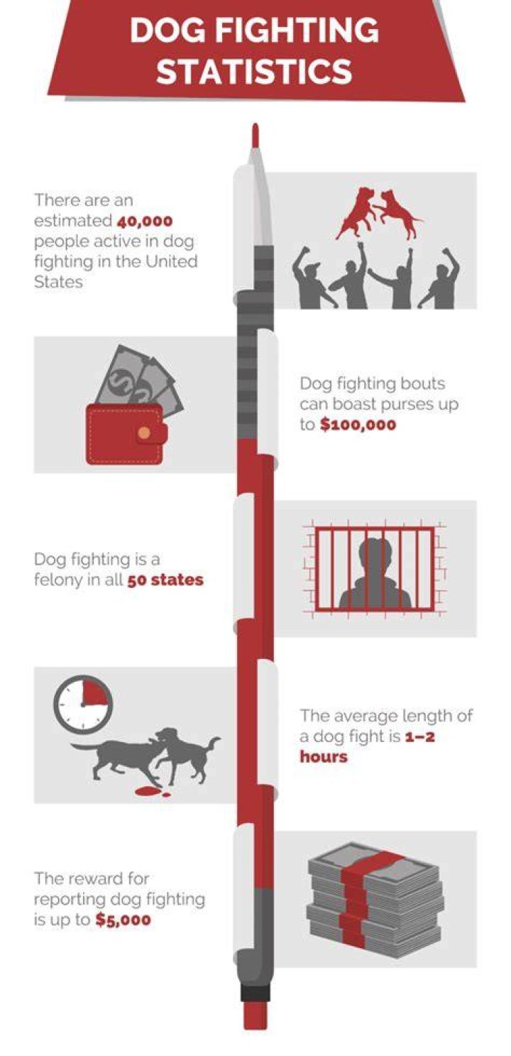 US Dog Fighting Facts and Statistics