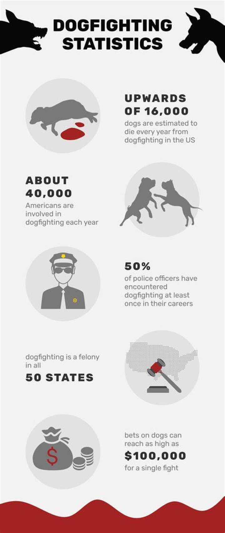 us dog fighting stats