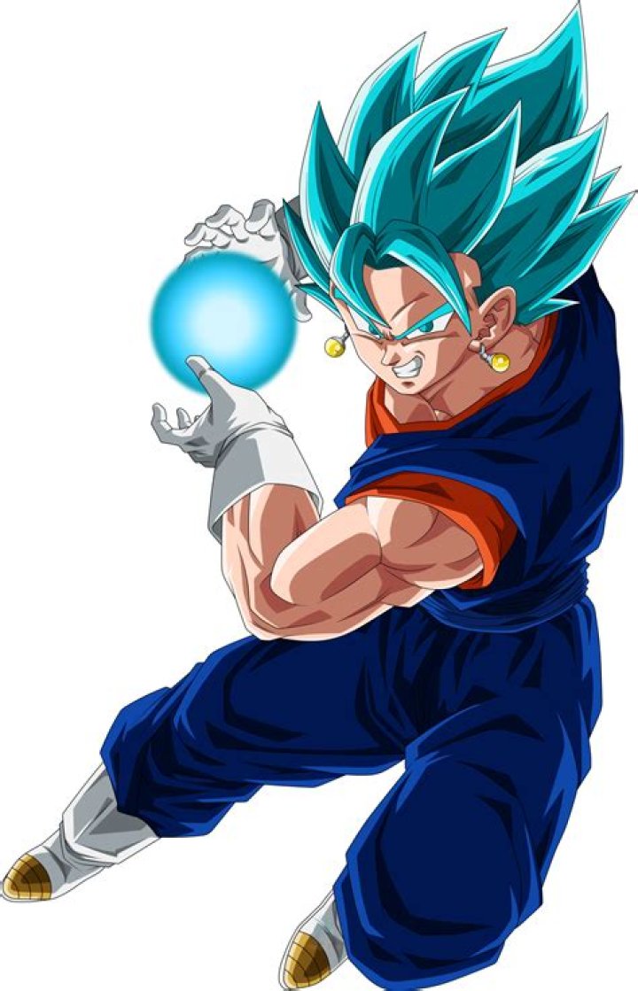 Vegito Dragon Ball Z Goku Vegeta fusion