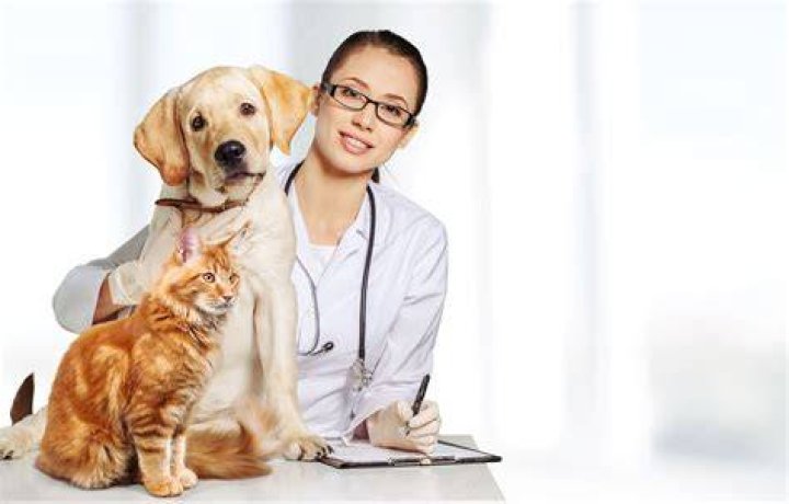 Vet's Best Dental Finger Dog Toothbrush