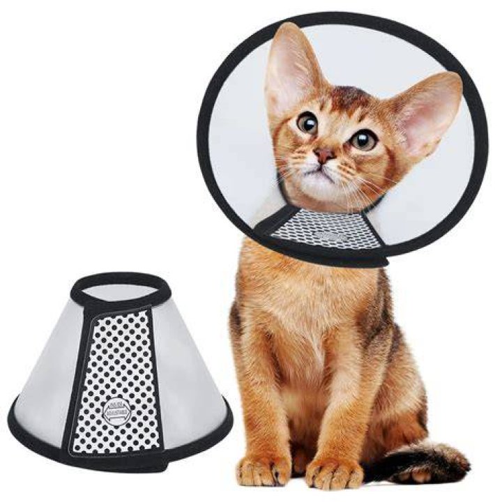 Vivifying Pet Cone