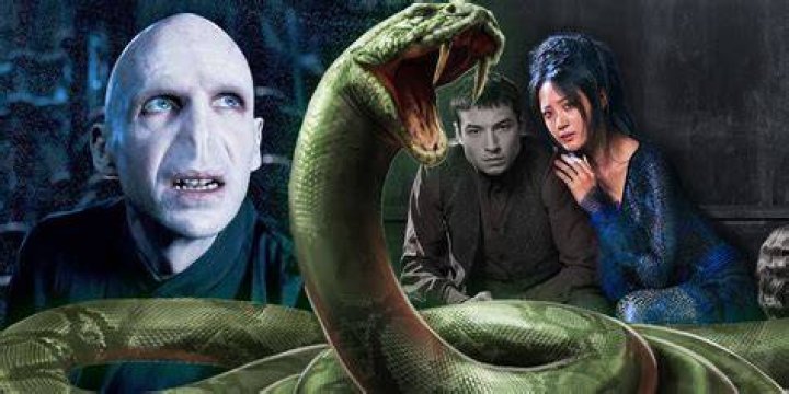 Voldemort and Nagini Snake