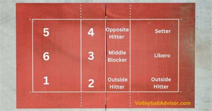 Volleyball positions names