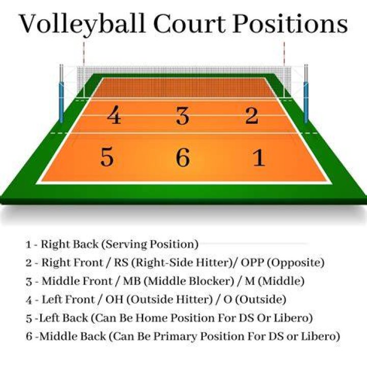 Volleyball positions numbers