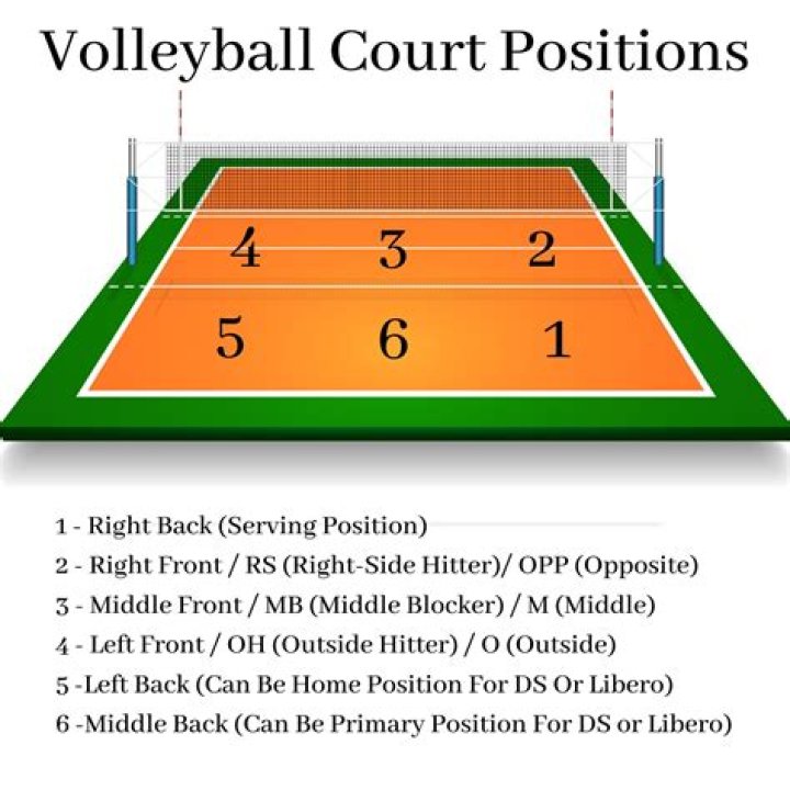 Volleyball positions on court