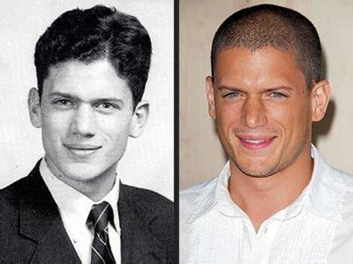 Wentworth Miller Ethnicity, Parents, Wiki, Biography, Age, Girlfriend