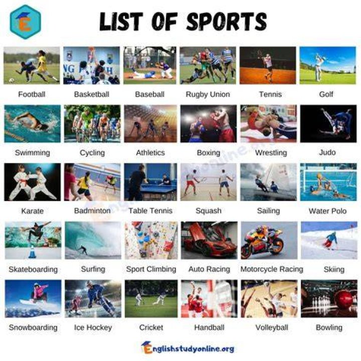 Which is the best sport in the world right now and why is it the best ?
