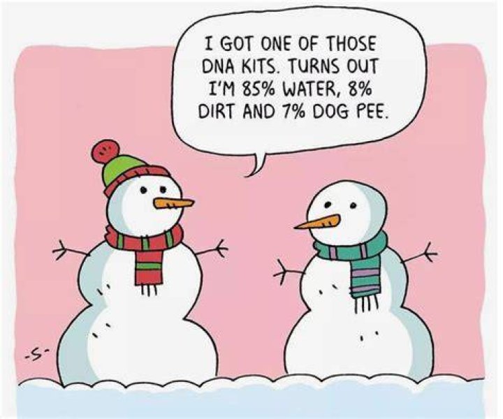 Winter humor Funny christmas pictures, Christmas humor, Winter humor
