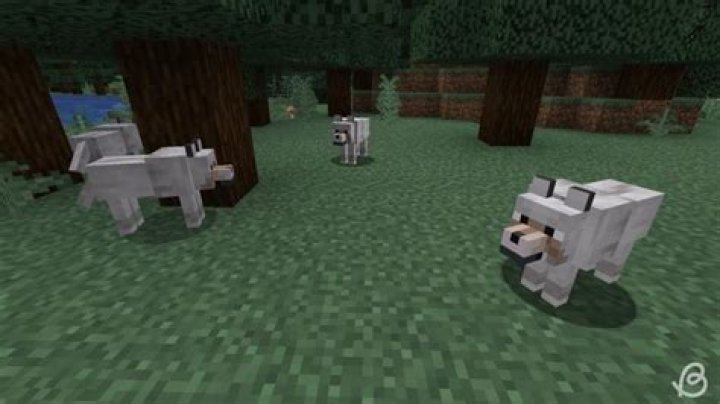 Wolf Armour Tame