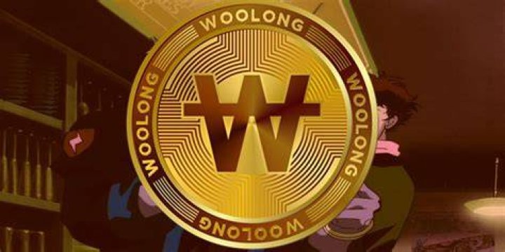 Woolong cowboy bebop anime currency dollar