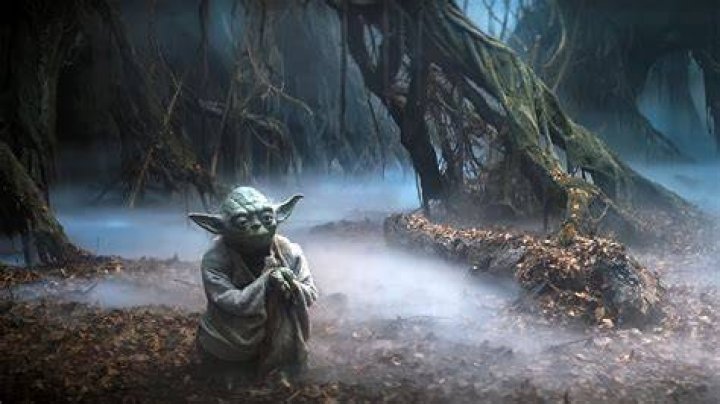 Yoda on Dagobah