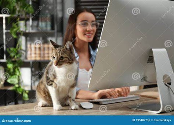 Young woman with cat working on computer at table