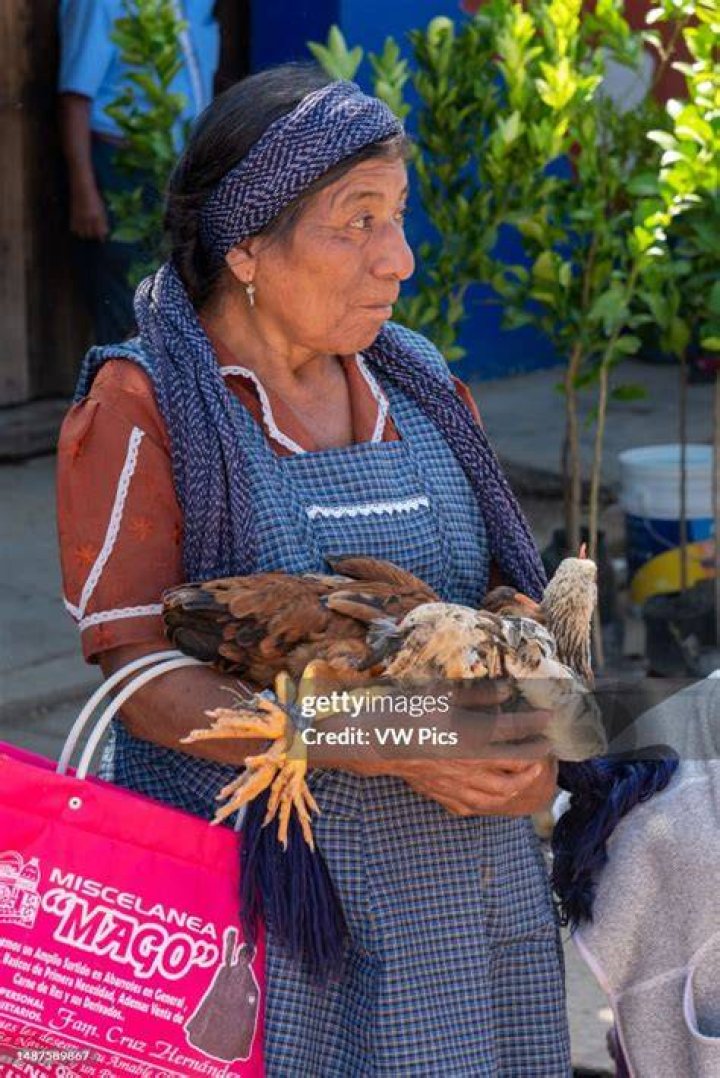 Zapotec woman with a chicken at the SUnday Tlacolula market in Oaxaca